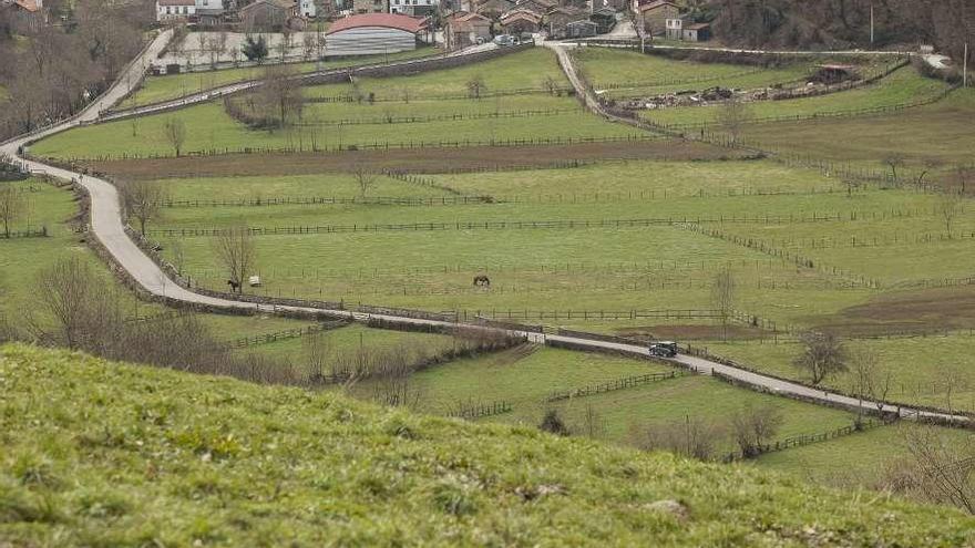 La carretera que une Rioseco y Soto de Agues.