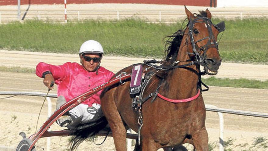 Négresco Turgot, con Tomeu Riutort, en Manacor.