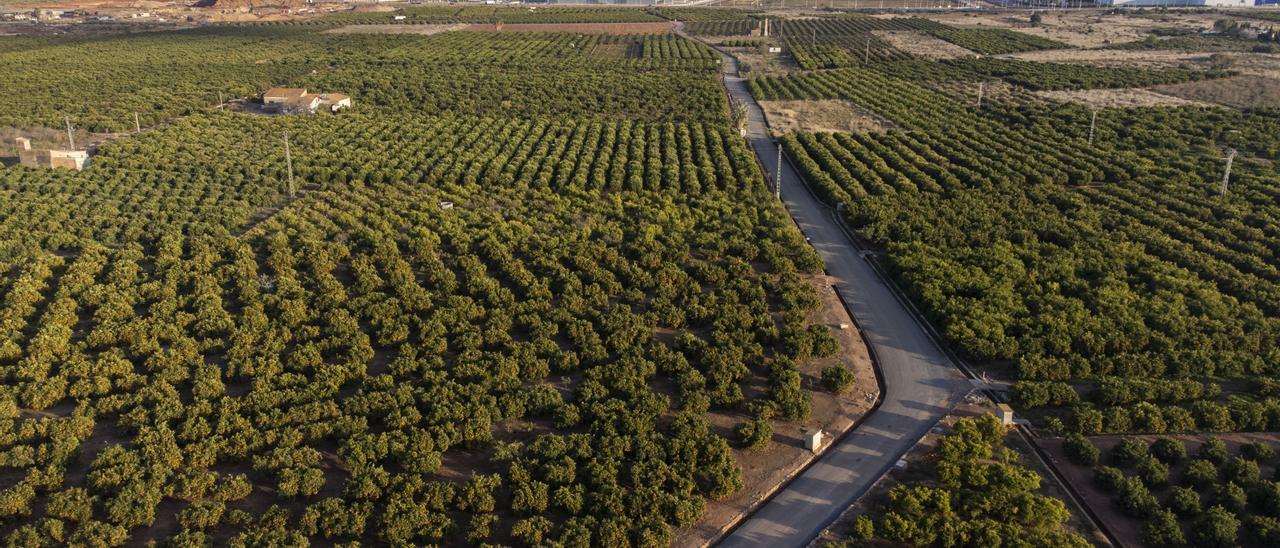 Terrenos que ocupará la gigafactoría de Volkswagen en Sagunt.