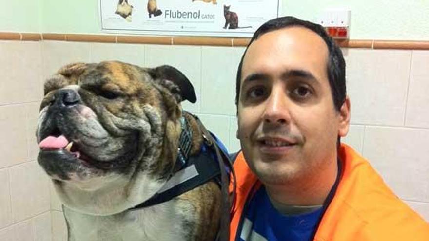 Eduardo Ortega, adiestrador canino, contestará a las preguntas de los internautas sobre agresividad canina