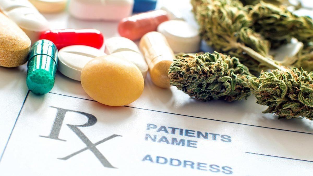 Sanidad regulará &quot;próximamente&quot; el uso del cannabis medicinal, tras recibir la Orden Ministerial de la Aemps.