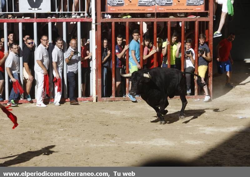 GALERÍA DE FOTOS -- Festejos en honor a Santa Quitèria