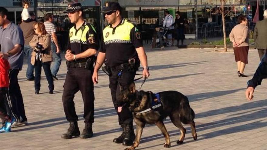 Nuevo agente «canino»