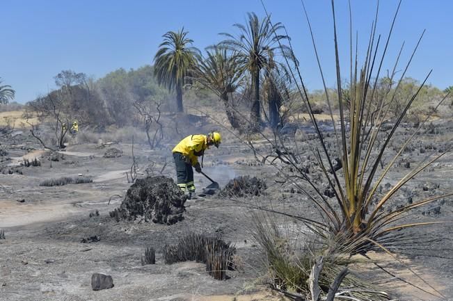 Incendio en la zona de las dunas de Maspalomas