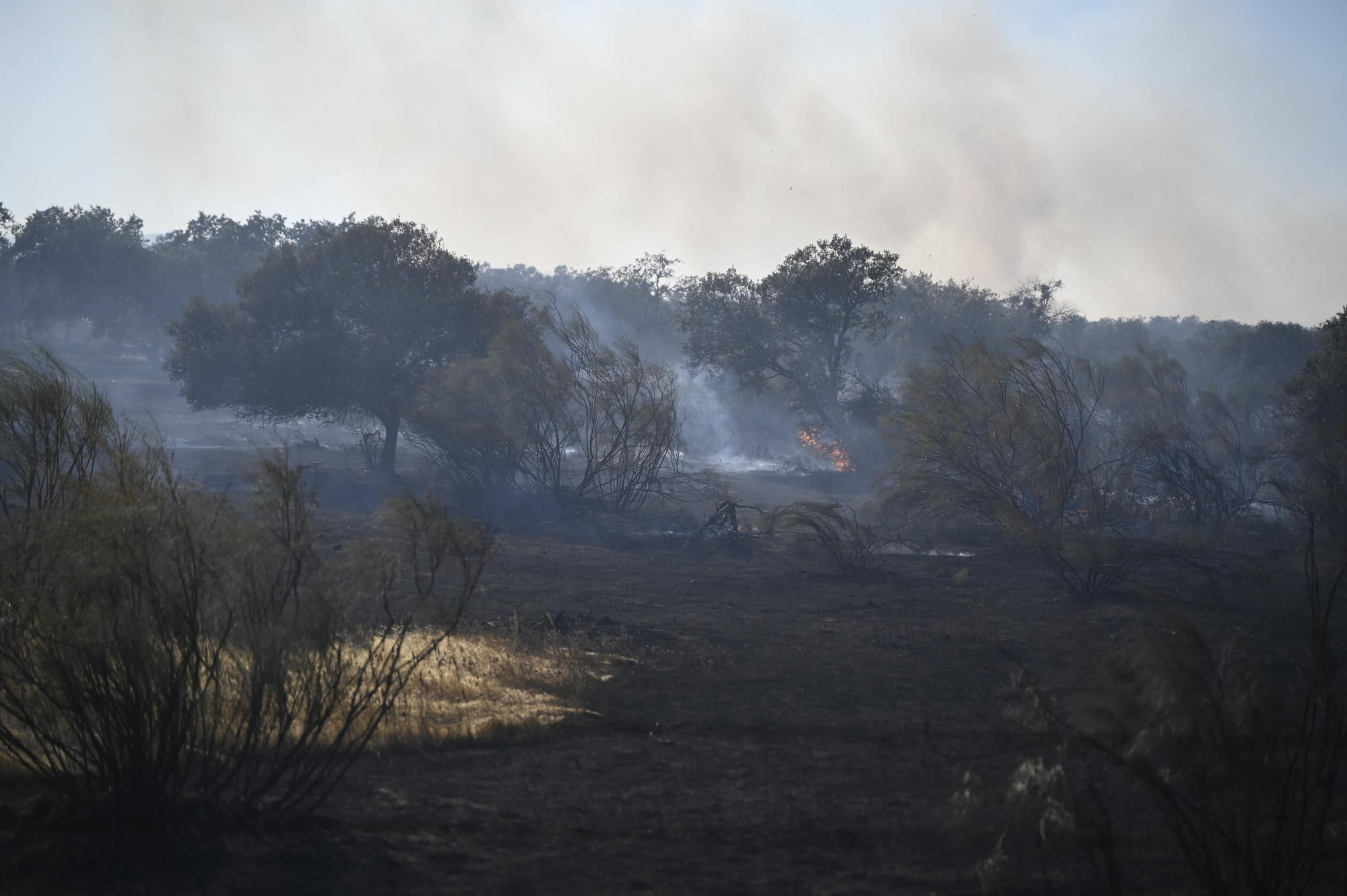 Así se está desarrollando el incendio de nivel 1 entre Arroyomolinos y Alcuéscar