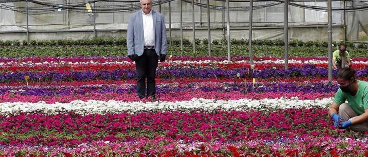 Juan José Alonso, gerente de Veraleza y de Viveros San Campio, en las instalaciones de Tomiño. // José Lores