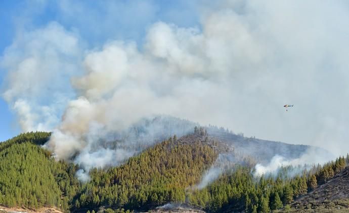 10-08-2019 ARTENARA. Incendio en la cumbre de Gran Canaria  | 10/08/2019 | Fotógrafo: Andrés Cruz