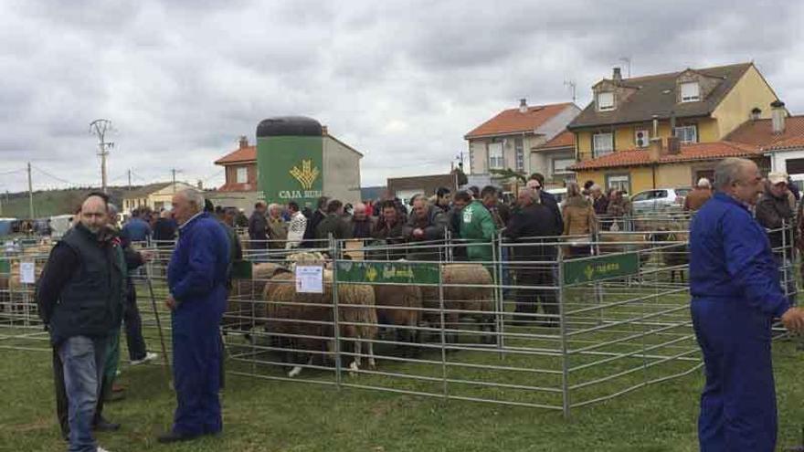 Ambiente de la feria ganadera de Carbajales de Alba.