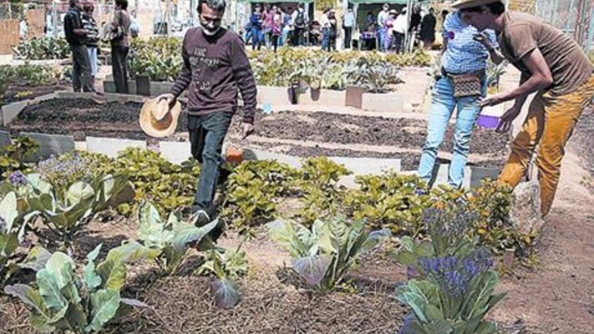 Jornada de puertas abiertas en el huerto de Vallcarca, el pasado sábado.