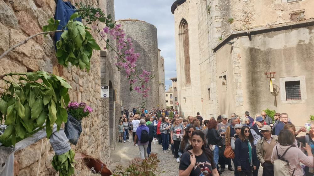 Girona, Temps de Flors 2019