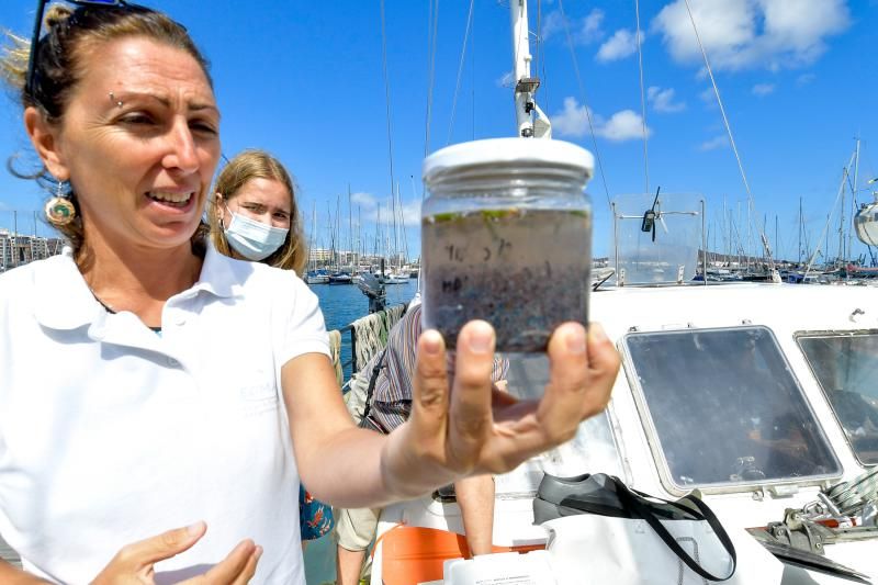 Proyecto Implamac sobre la presencia de microplásticos en el mar