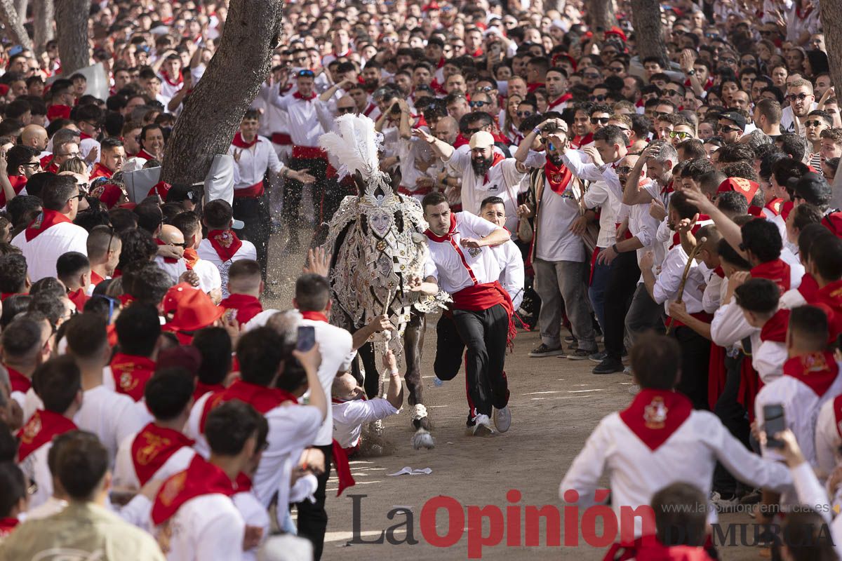 Así se ha vivido la carrera de Los Caballos del Vino en Caravaca