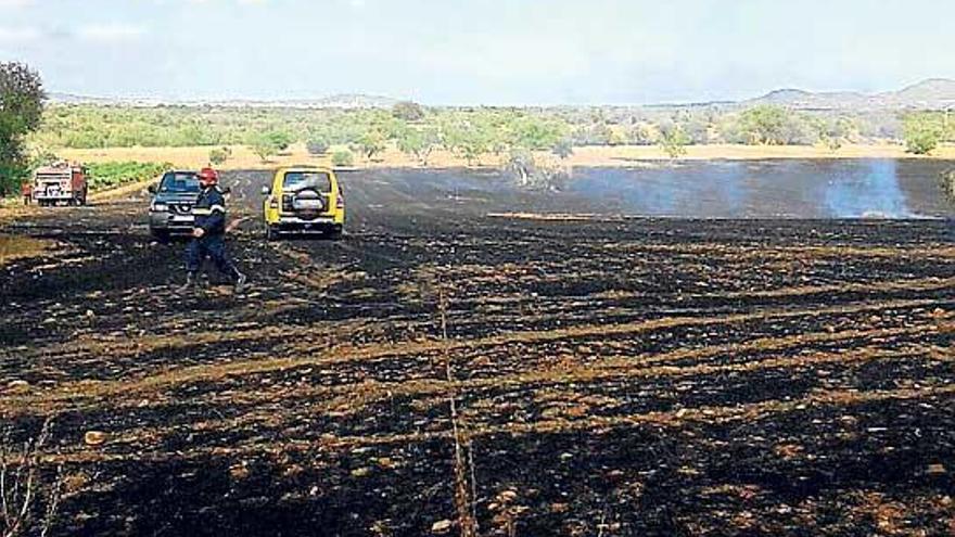 Controlado un fuego de rastrojos en una finca