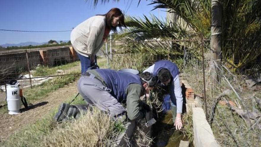 Castelló fumigará el cauce del río Seco para prevenir focos de mosquitos