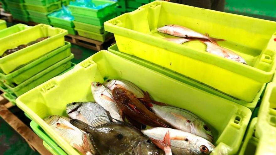 Piezas de pescado en la rula de Avilés .