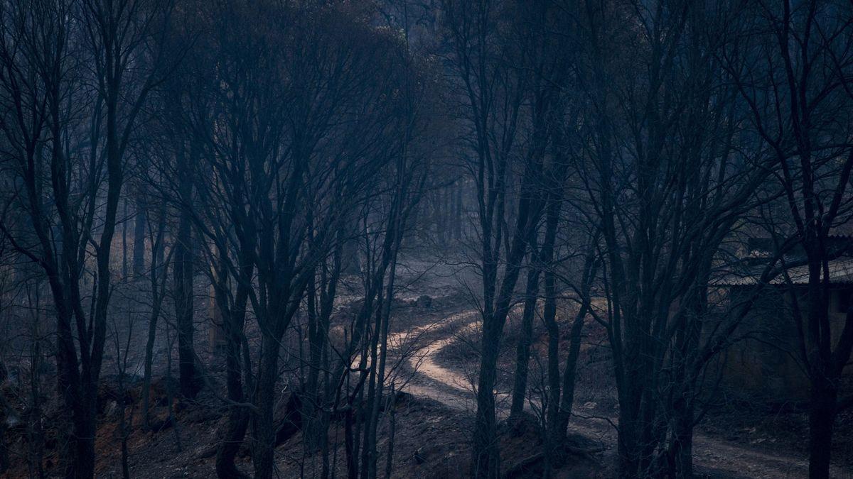 Un área forestal de A Veiga de Cascallá, en Rubiá (Ourense) tras ser pasto de las llamas.