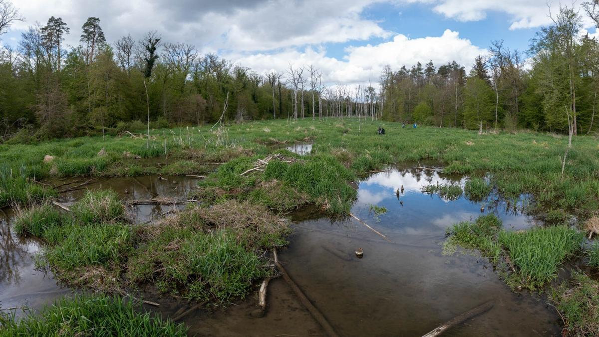 Uno de los hábitats estudiados.