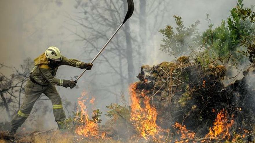 Un brigadista combate el fuego en Ourense // BRAIS LORENZO