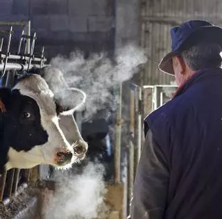 Mil millones de la PAC buscan incorporar jóvenes al agro