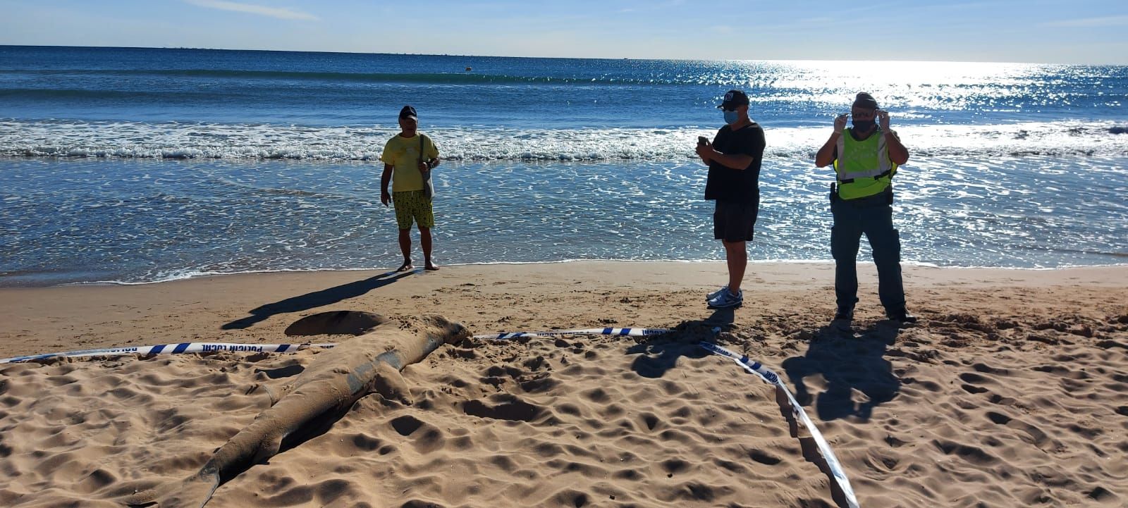 Hallan una tintorera varada en la playa de Guardamar del Segura