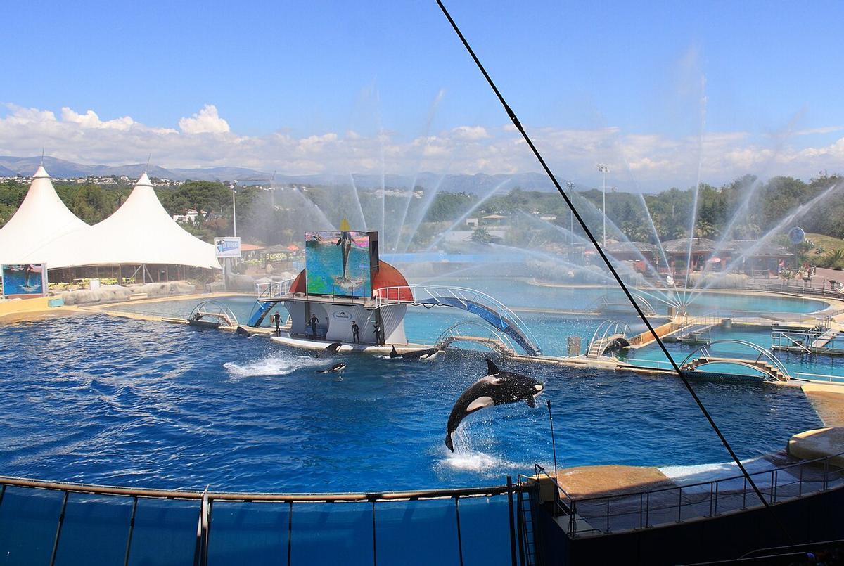 Espacio para las orcas en Marineland Antibes, archivo.