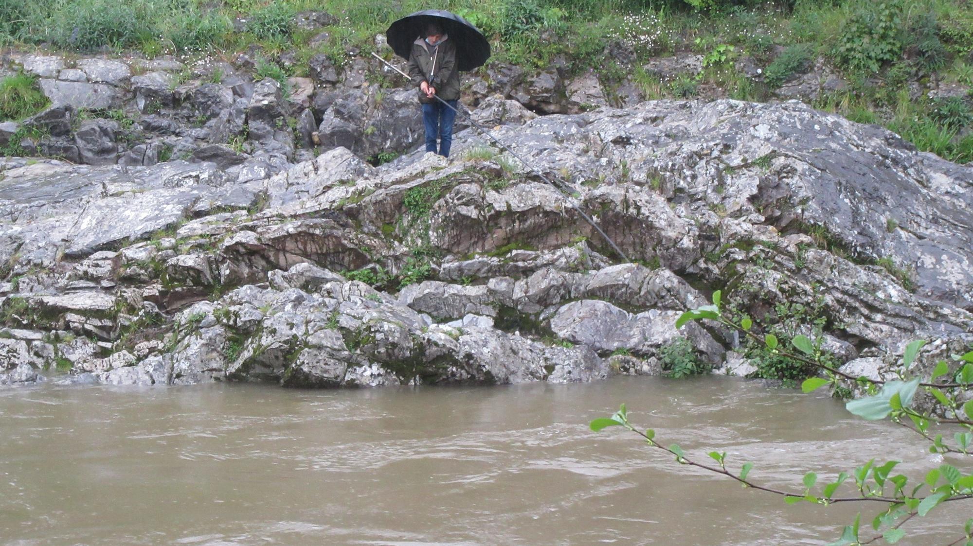 Madrugón a pie de río para sacar el campanu de Asturias