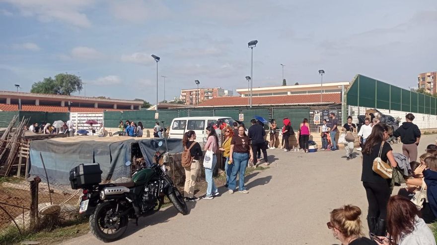 Colas en la protectora de Benimàmet: &quot;Nos llevamos un perro que estaba atado a un palé&quot;