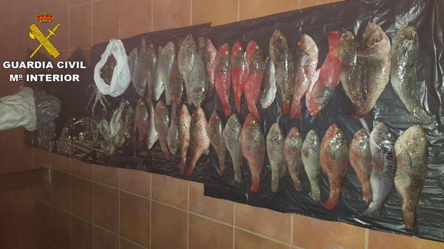 La Guardia Civil pilla a cuatro pescadores ilegales en Fuerteventura