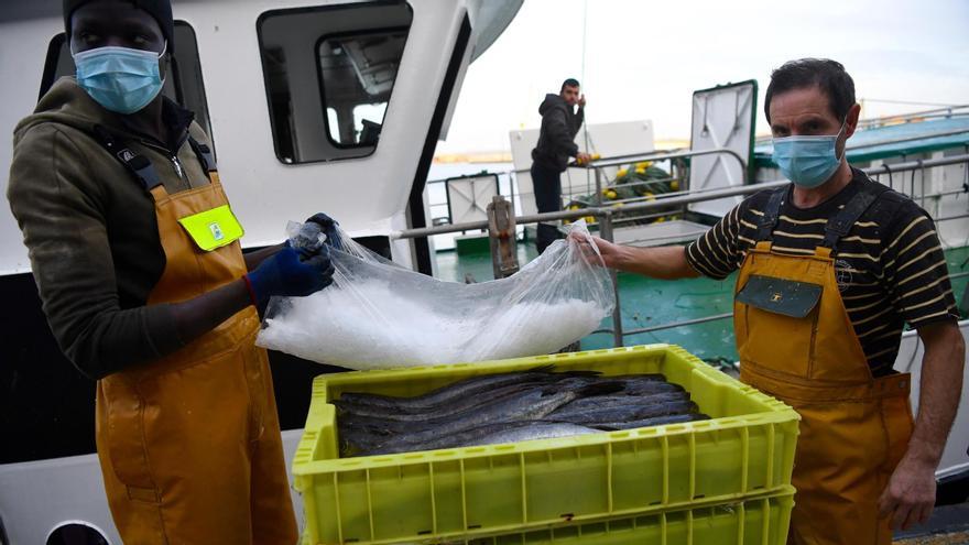 Descarga de pescado en el muelle de Linares Rivas, en A Coruña.