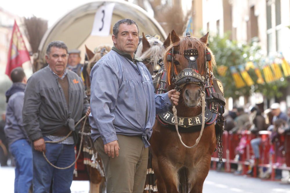 Sant Antoni en Valencia 2017