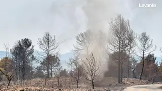 Tolvanera o remolino tras el paso del fuego por el monte cercano a Teresa de Cofrentes