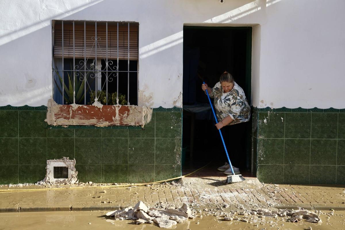 Los vecinos de la barriada de Doña Ana en la Estación de Cártama, junto al operarios Infoca, limpian los estragos de la nueva inundación provocada por la crecida del Guadalhorce durante la borrasca Francis