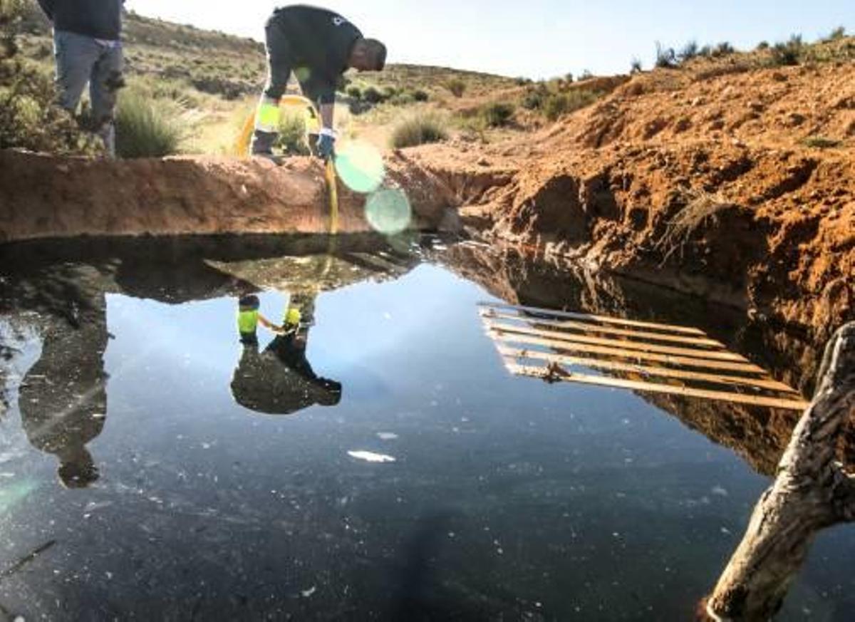Vertivega plantea un cultivo bacteriológico contra los lixiviados