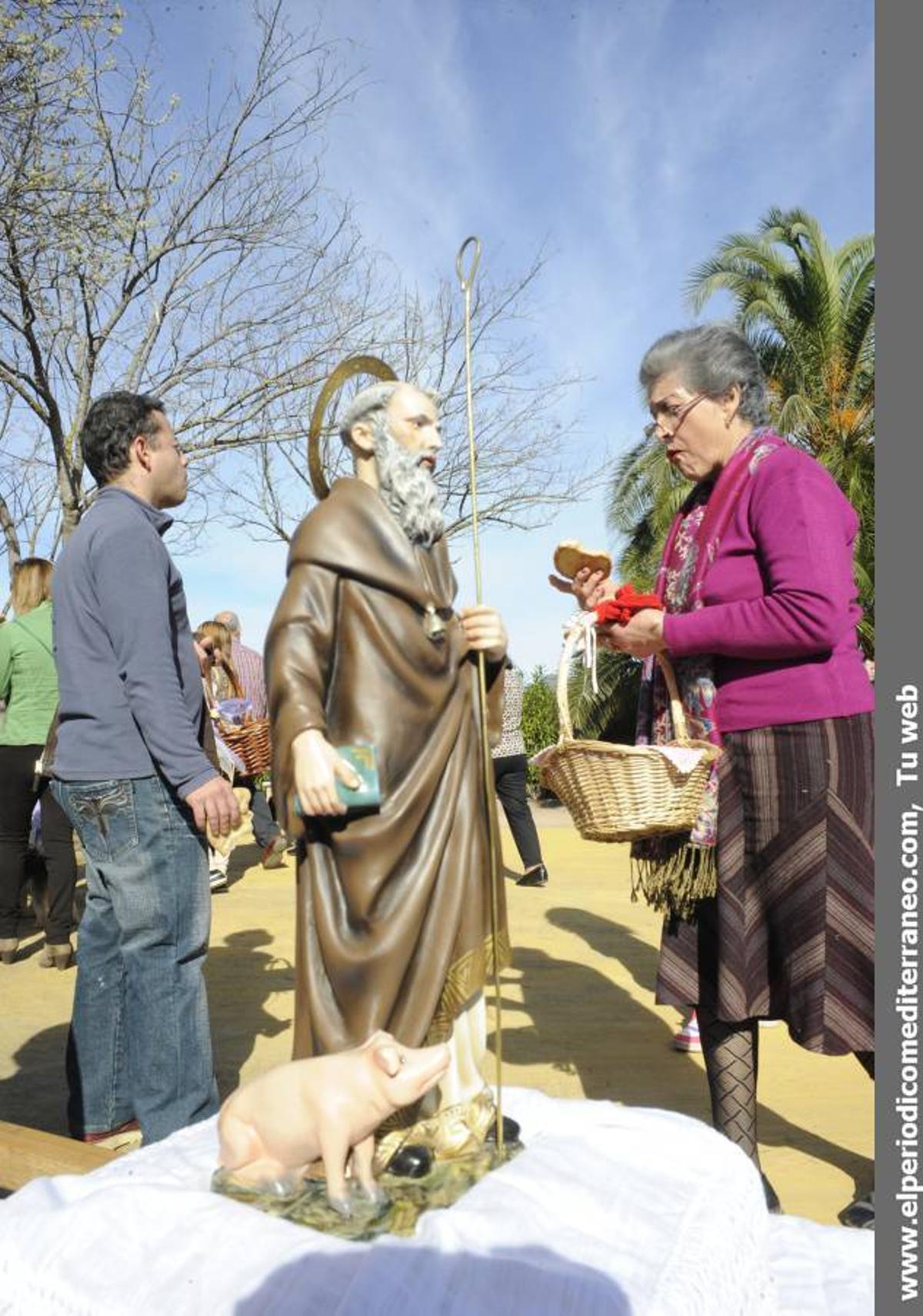 GALERÍA FOTOS: Castellón celebra Sant Antoni