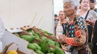¿Qué hacer este fin de semana en Gran Canaria?