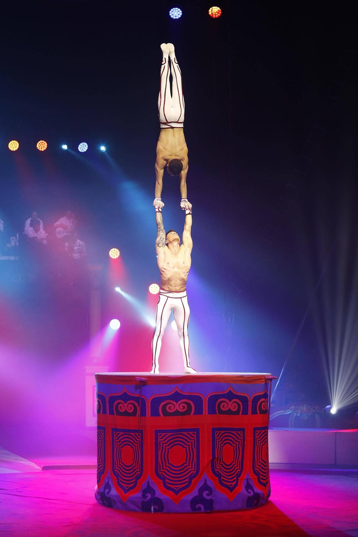Les fotos d'alguns dels artistes del Festival Internacional del Circ de Girona 2026
