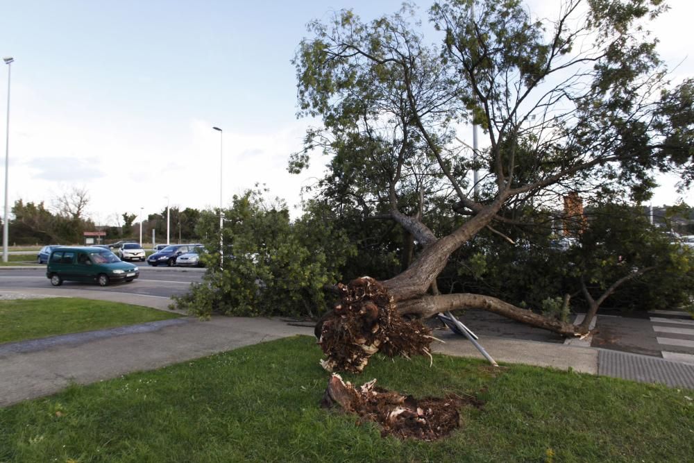 Efectos del temporal en Gijón