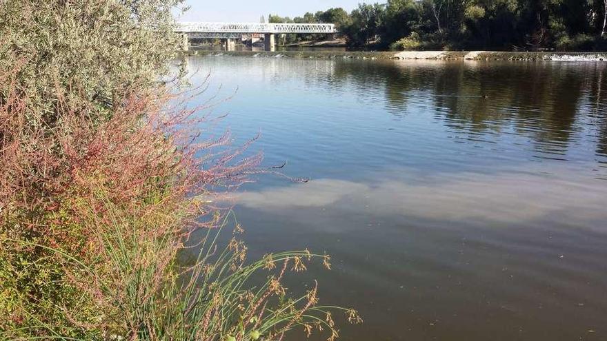 La Confederación Hidrográfica exige el fin de los vertidos de aguas fecales al Duero