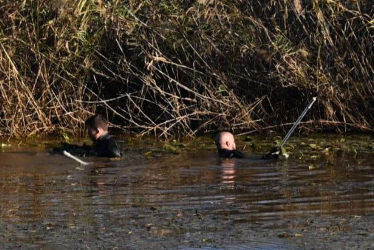 Los buzos rastrean la vegetación de la orilla desde dentro del agua.