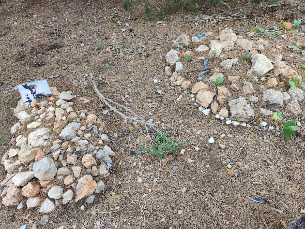 El cementerio ilegal de perros y gatos de sa Caleta en imágenes El cementerio ilegal de perros y gatos de sa Caleta en imágenes