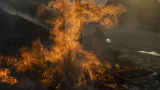 Bomberos forestales contra «incendios salvajes» con un salario de 1.200 euros al mes