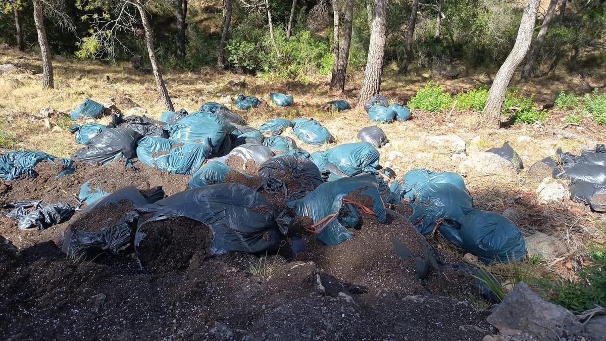 Bolsas con sustrato encontradas en el paraje de Romeu de Sagunt.
