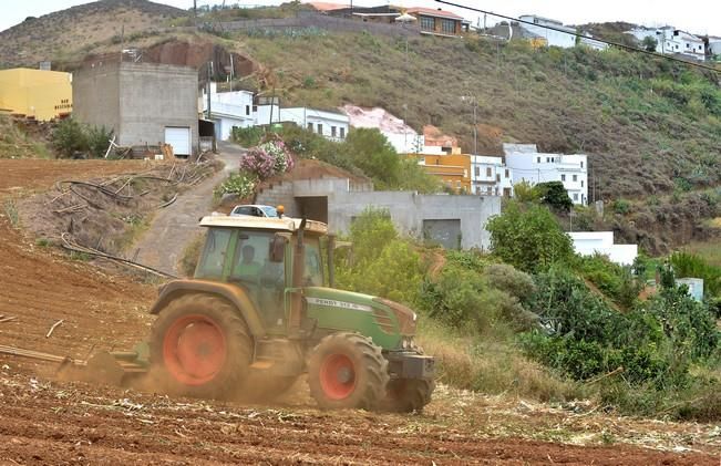 BASCAMAO ALTOS DE GUIA