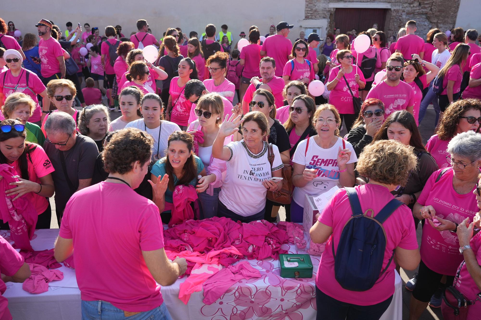 Búscate en la Marcha Contra el Cáncer de Mama de Castelló