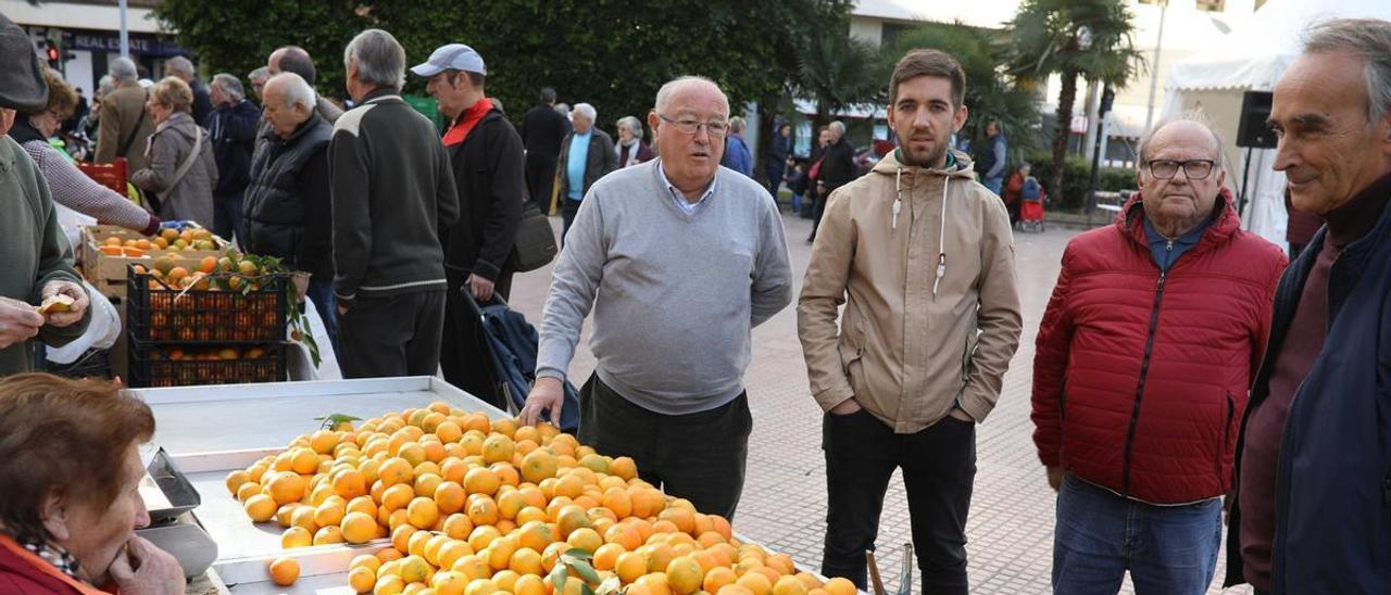 El edil de Transición Ecológica, Fernando Navarro, durante una visita a la Fira de la Taronja, en imagen de archivo.