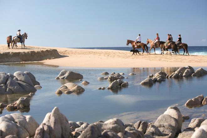Tour a caballo por Cabo San Lucas.