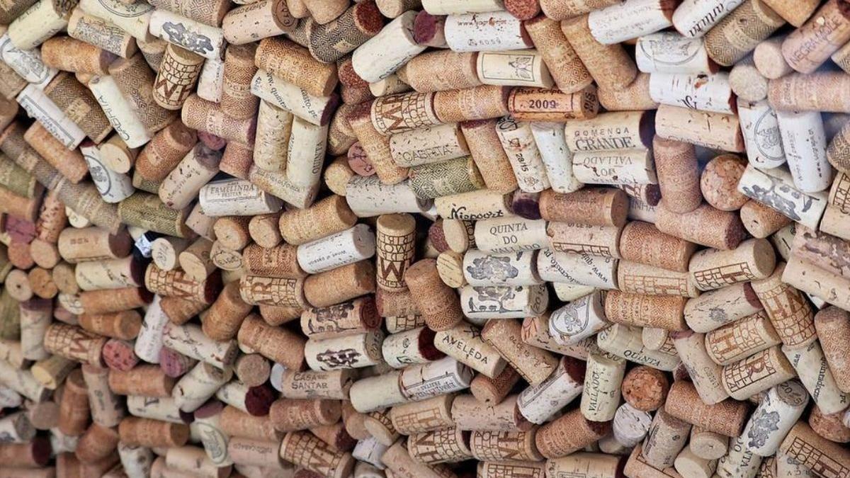 Colocar un corcho de vino en la nevera la sencilla solución para decir 'adiós' al peor problema