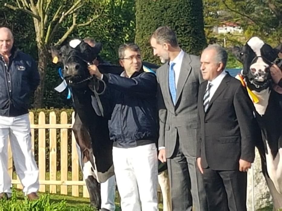 El Rey participa en el 50.º aniversario de Clas