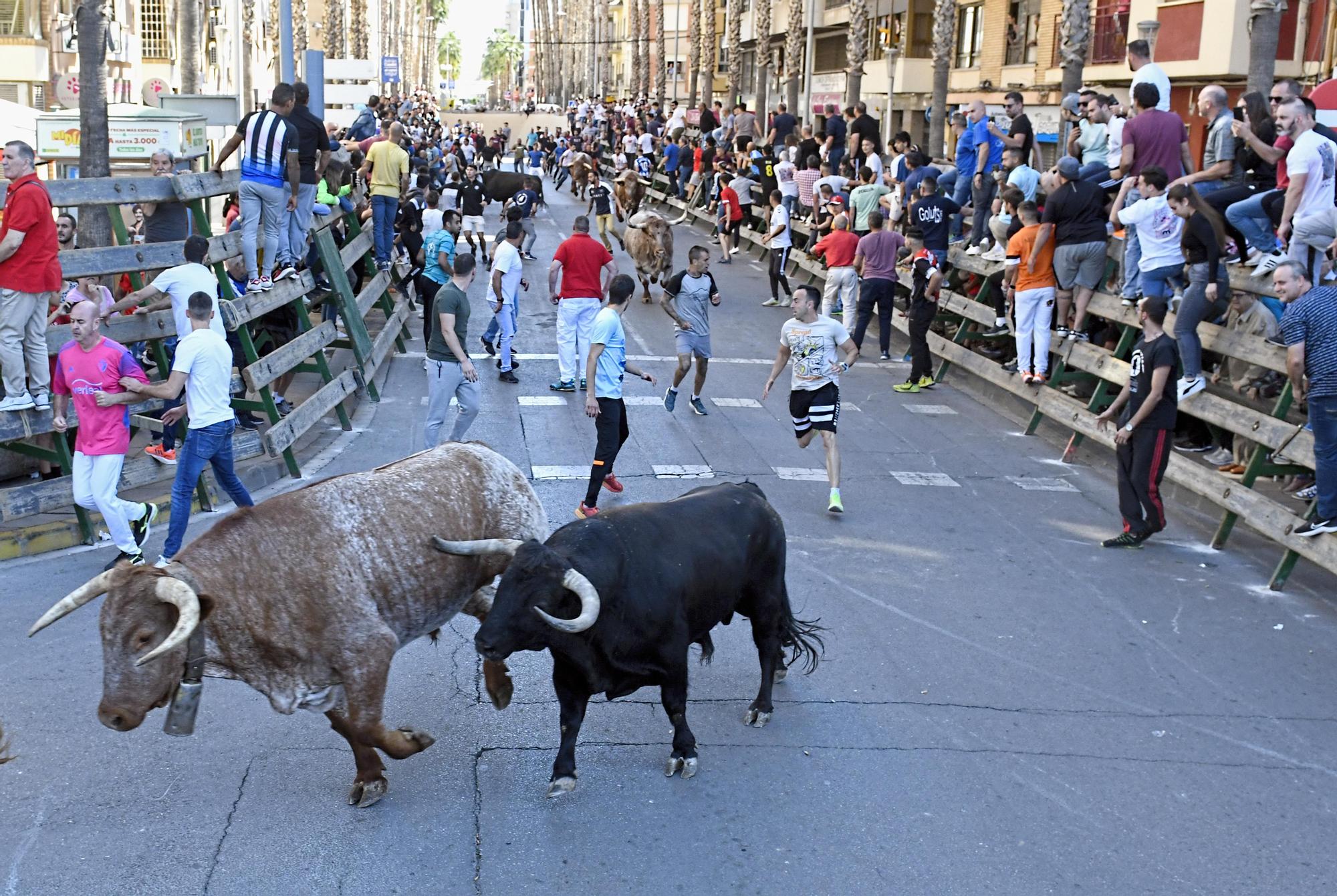 Las mejores imágenes de la jornada festiva en Vila-real