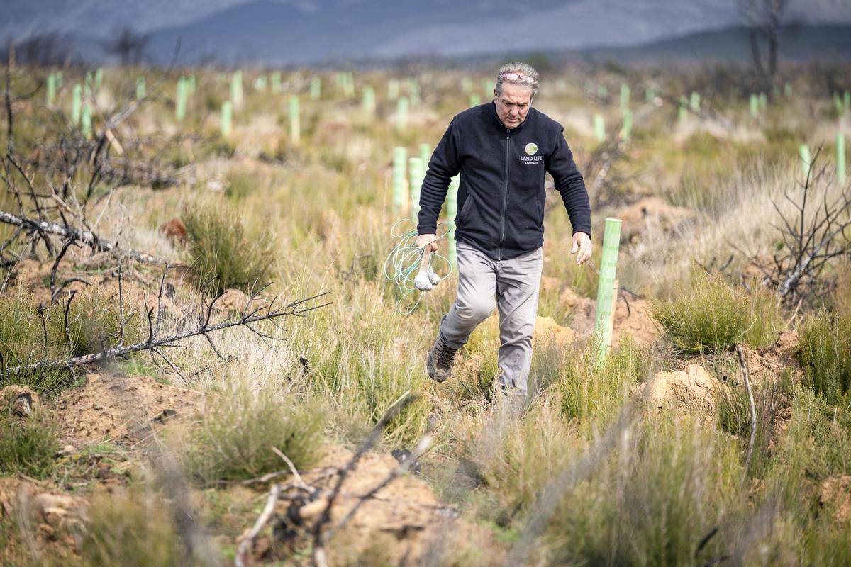 España tendrá 15 nuevos bosques resistentes a los incendios forestales